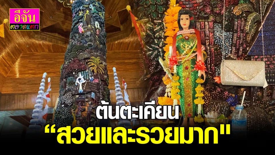 แม่พลอยจันทร์ ต้นตะเคียน ที่สวยและแพงที่สุดในโลก