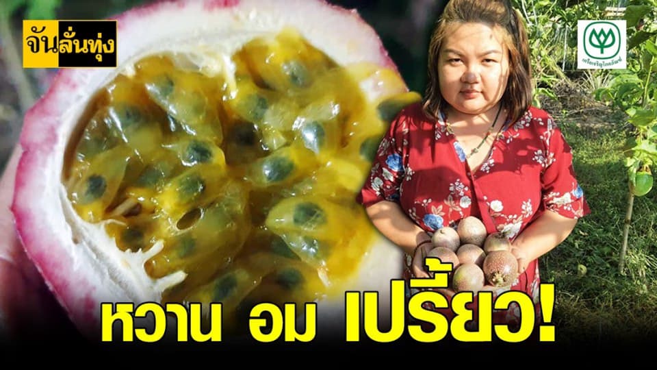 เสาวรส หม่านเทียนซิน ไต้หวัน ฝีมือ เกษตรกร สาว ปทุมธานี
