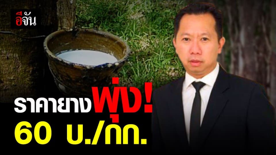 ราคายางสูงสุดในรอบ 3 ปี 60 บ./กก.