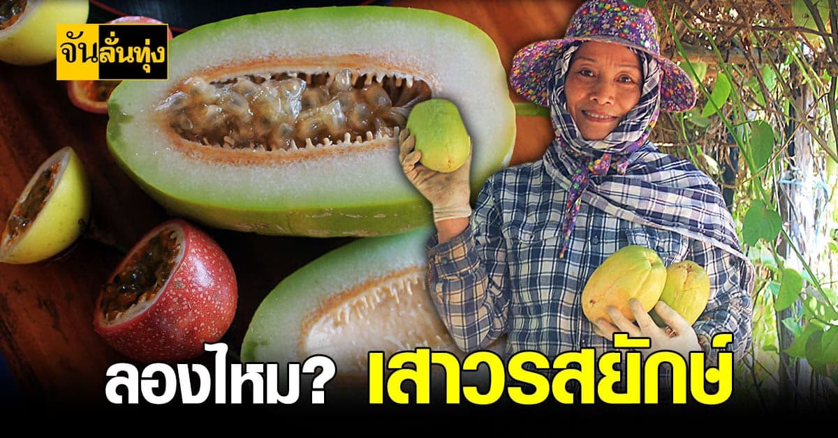 ชม แลนด์มาร์ค ใหม่ที่ พะเยา พร้อมชิม เสาวรส ของอร่อยเลื่องชื่อ