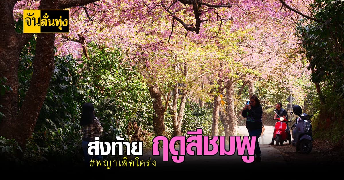โค้งสุดท้าย ! ชม พญาเสือโคร่ง บน ขุนช่างเคี่ยน