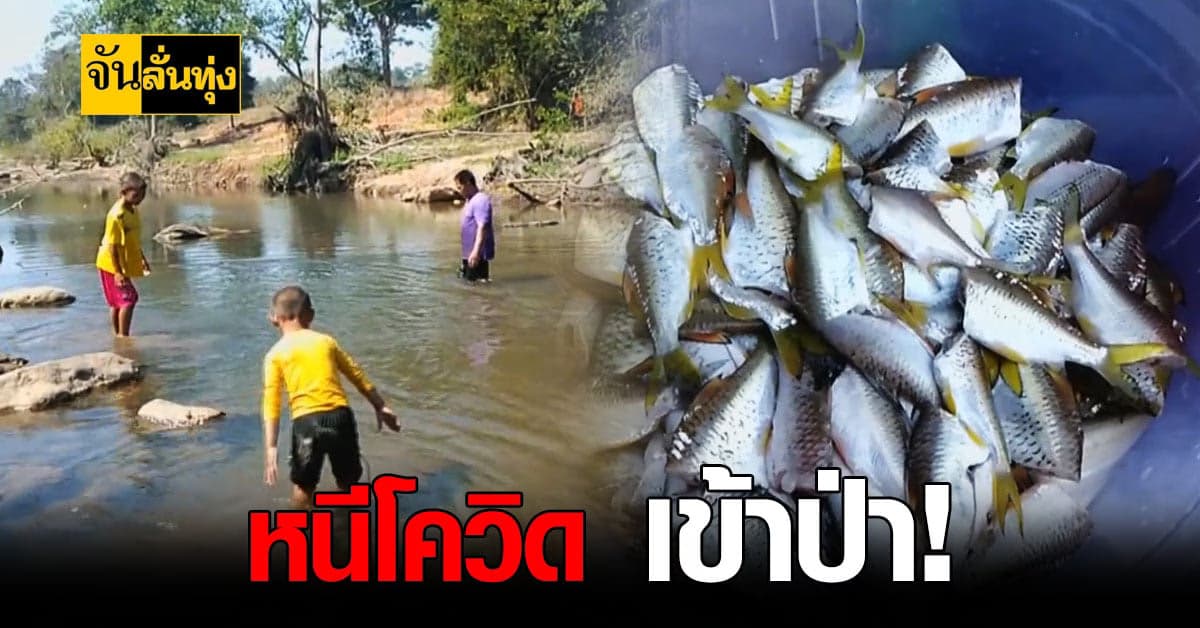 ชาวบ้าน โคราช เข้าป่า หาปลา หนี โควิด