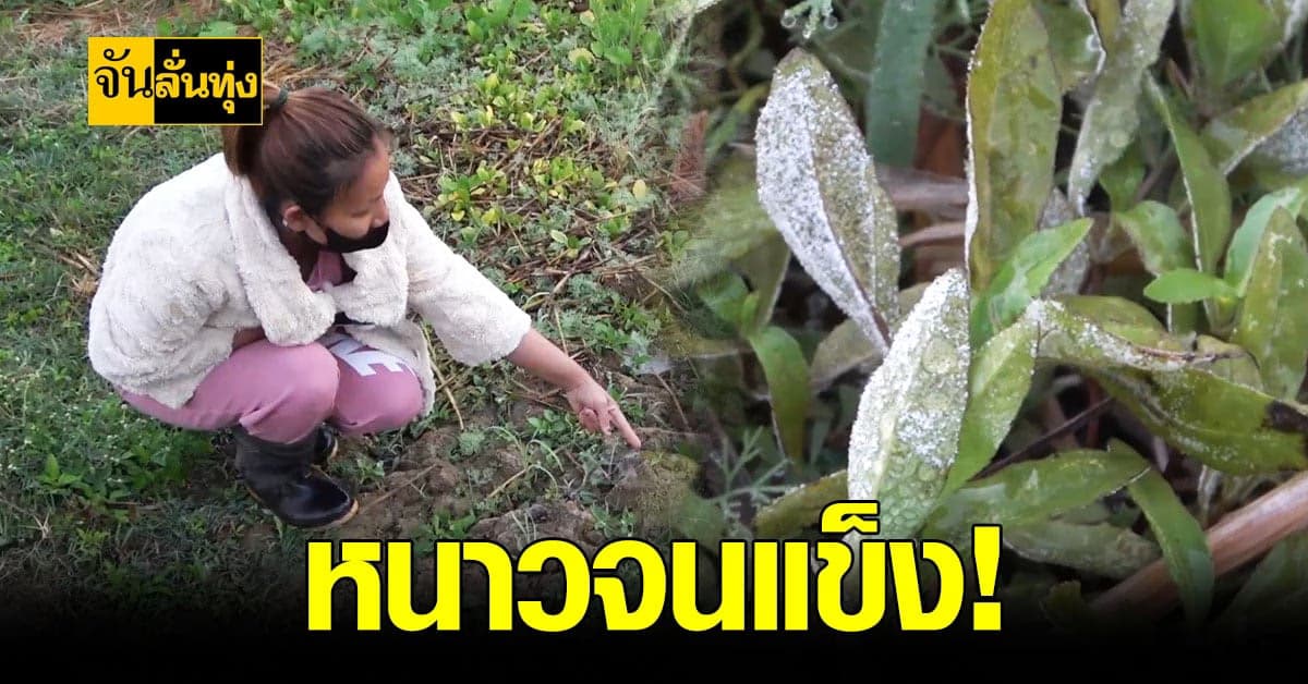 ชาว ลำปาง เจอปรากฏการณ์ น้ำค้าง แข็ง ครั้งแรกของปี