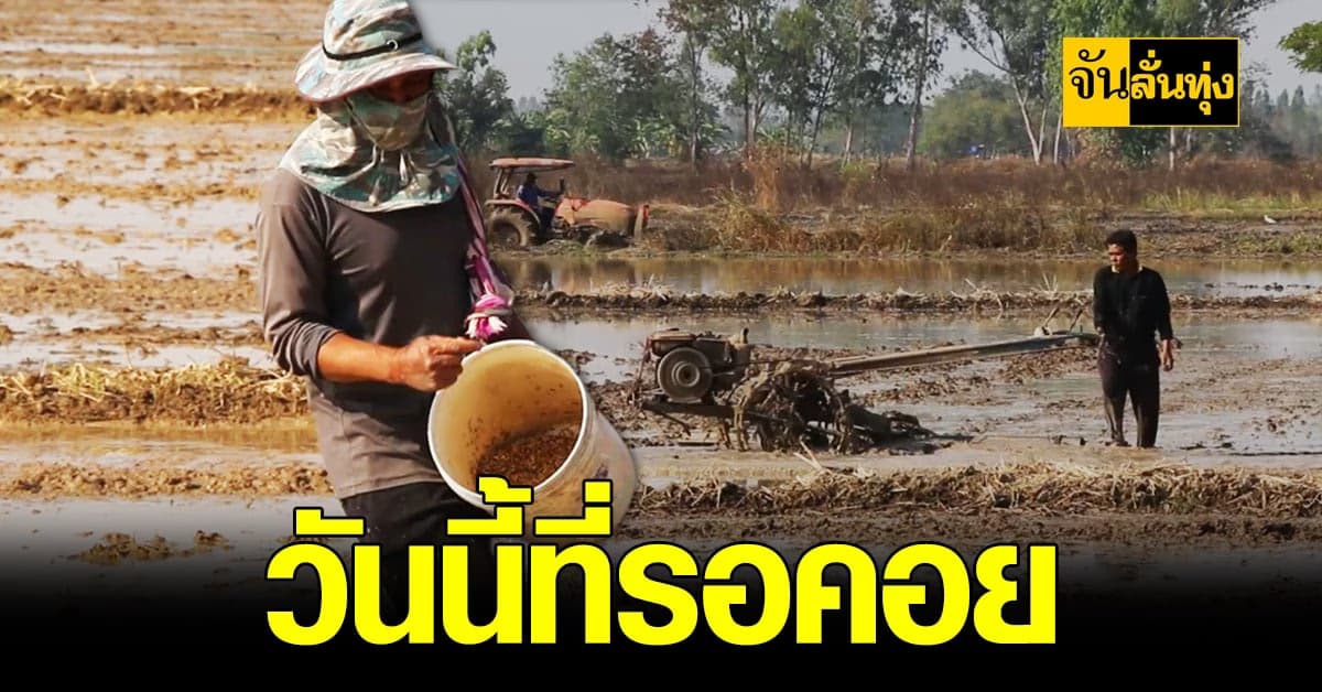 เกษตรกร เฮ ! ได้ทำ นาปรัง แล้ว