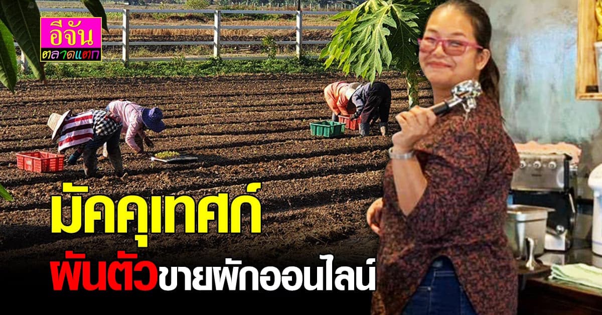 ท้อได้แต่ไม่ถอย มัคคุเทศก์ เชียงใหม่ ตกงาน ผันตัวปลูกผักขายออนไลน์