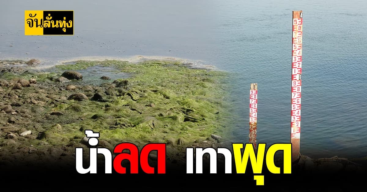 แล้ง!ทำพิษ ชาวบ้าน หนองคาย จับปลาไม่ได้