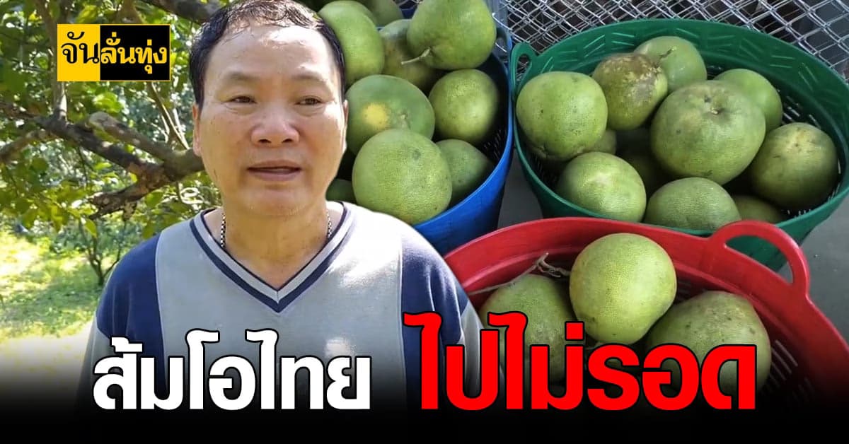 เกษตรกร สมุทรสงคราม ครวญ ส้มโอ ราคาตกขาดทุนยับ