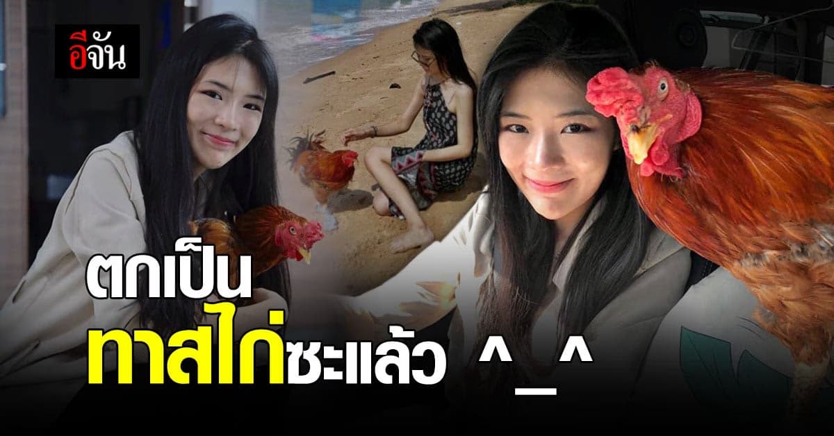 ทาส ไก่ ก็มา! สาวโพสต์เล่าเรื่องราวของ จ๊อก ไก่แสนรัก น่าเอ็นดูสุดๆ