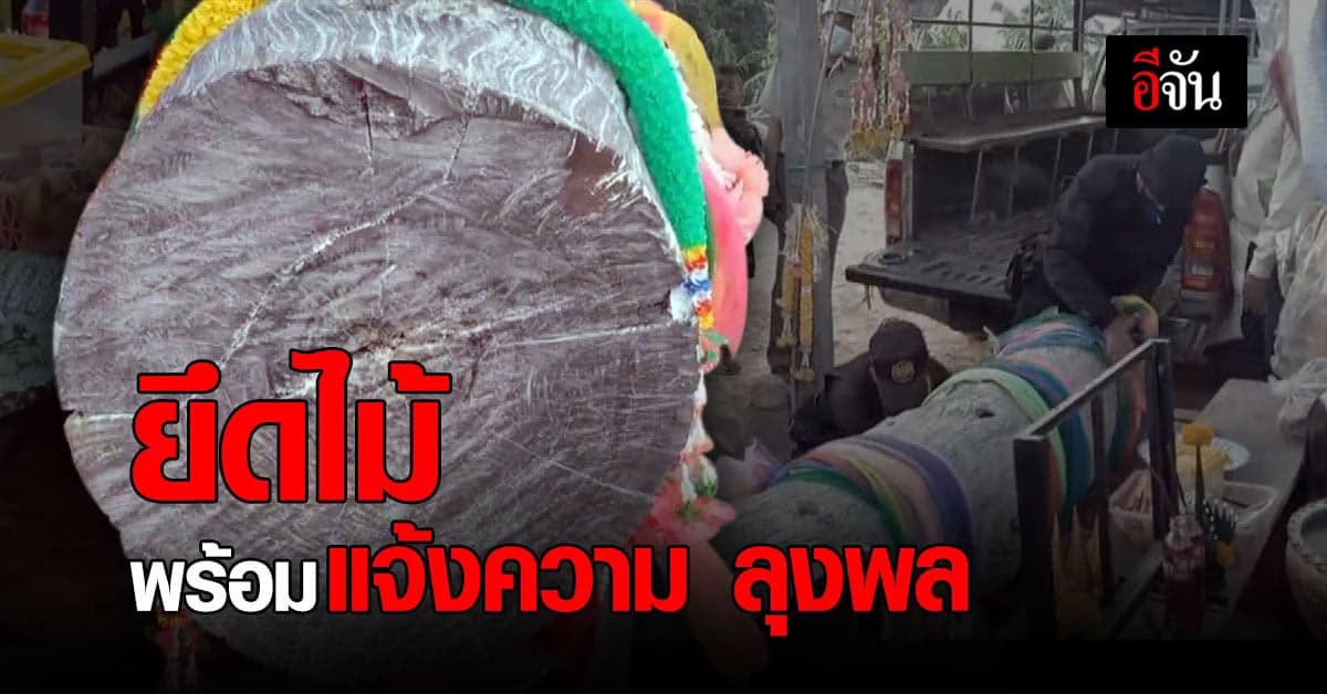 เจ้าหน้าที่ป่าไม้ ตรวจยึดไม้หวงห้าม พร้อมแจ้งความเอาผิด ลุงพล