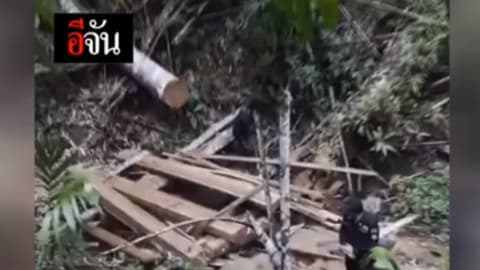 ลักลอบตัดไม้หวงห้าม