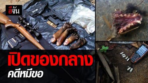 เปิดของกลางทั้งหมดในคดี ใครฆ่า…หมีขอ?