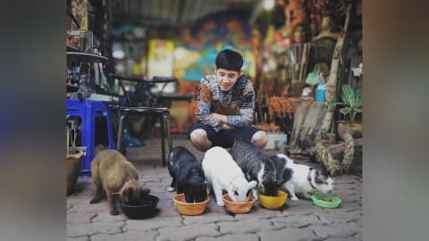 ค.คนรักวุ้น ม.เหมียววุ่นวาย