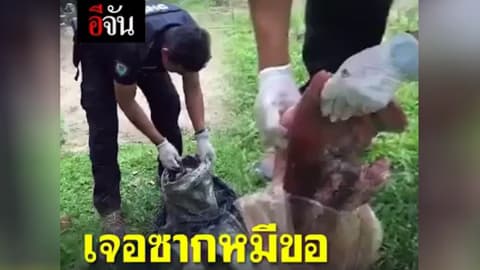 เจอซากหมีขอ กับกบอีกอื้อ!!!