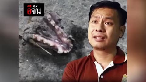 ปลัดคะ ยังไงคะ?