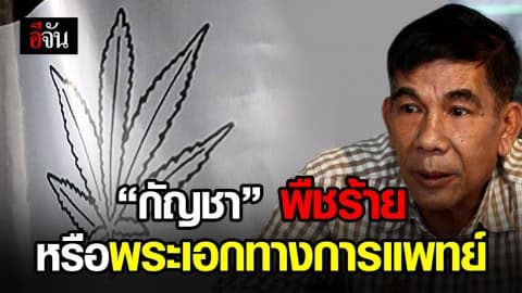 ไขข้อคาใจ กับลุงตู้ ใช้กัญชารักษามะเร็งในคน