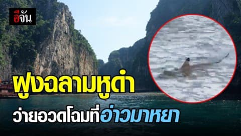 ฝูงฉลามหูดำ  โชว์ตัวอ่าวมาหยา หลังปิดเกาะฟื้นฟู