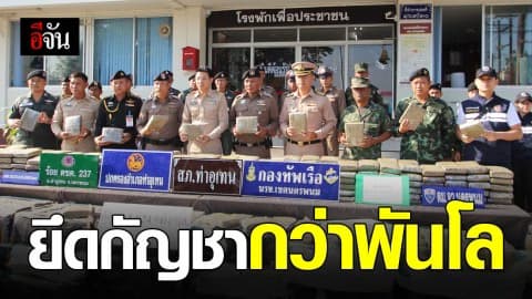 เริ่มฤดูเก็บเกี่ยว กัญชาล็อตใหม่ ยึดกัญชาพันกิโล มูลค่า 20 ล้าน