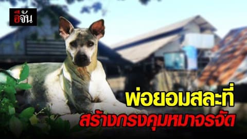 พ่อยอมสละที่ สร้างกรงคุมหมาจรจัด