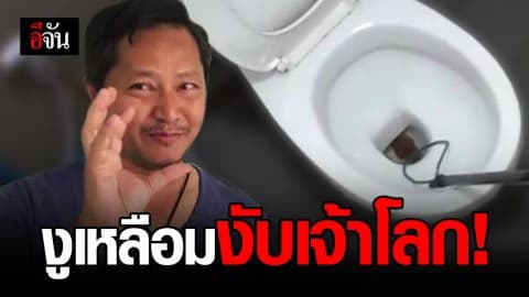 พักยาว….งูเหลือมกัดเจ้าโลก เย็บ 15 เข็ม