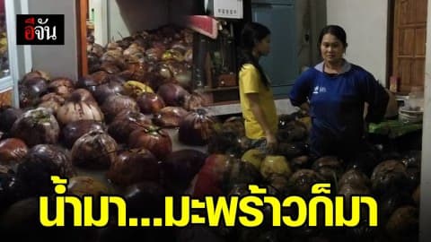 บางสะพานน้ำท่วมหนัก มะพร้าวไหลตามน้ำเข้าบ้าน!!