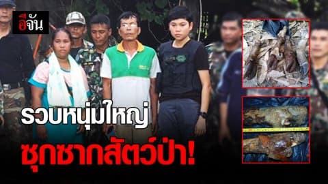 พญาเสือตามรวบหนุ่มใหญ่ซุกซากสัตว์ป่า พบของกลางอื้อ!