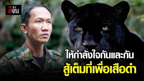 ถึงคิว ผช.หน.เขตทุ่งใหญ่ฯ ขึ้นสืบพยาน คดีเสือดำ