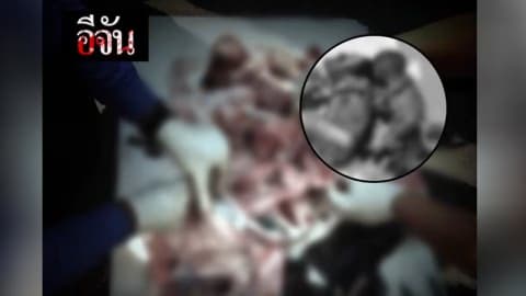 พบศพ 4 ทารก ถูกทิ้งถังขยะกลางเมืองหัวหิน