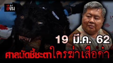ศาลนัดฟังคำพิพากษา ชี้ชะตาใครฆ่าเสือดำ 19 มี.ค. 62