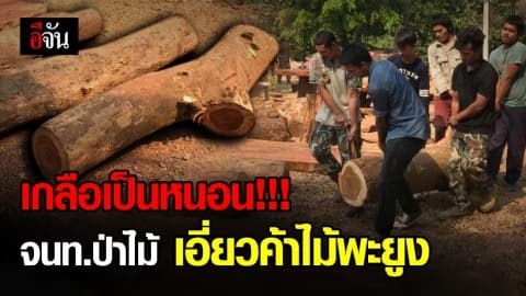 บุกทลายแก๊งค้าไม้พะยูง หลังตามสืบนาน 5 เดือน งานนี้เกลือเป็นหนอน!!