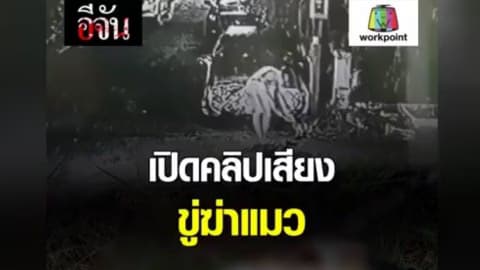 เปิดคลิปเสียง ขู่ฆ่าแมว