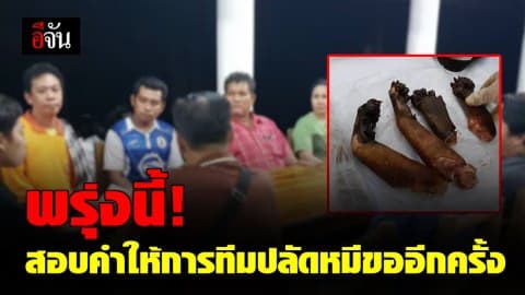 ศาลจังหวัดกาญจนบุรี นัดสอบคำให้การทีมปลัดหมีขอใหม่! หลังปฏิเสธทุกข้อหา