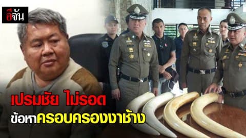เปรมชัย ไม่รอดข้อหาครอบครองงาช้าง