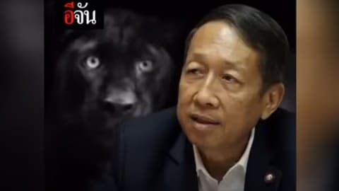 ปรากฏการณ์เสือดำรวมใจ