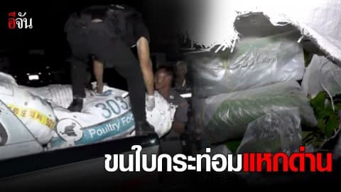 ขนใบกระท่อมแหกด่าน