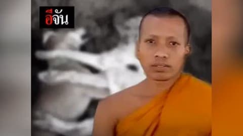 พระสงสัย หมาตายหลังฉีดวัคซีนกันพิษสุนัขบ้า