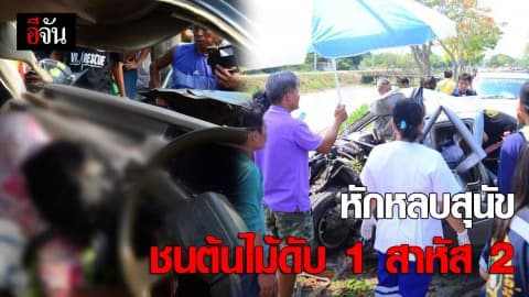 หักหลบสุนัขชนต้นไม้ดับ 1 สาหัส 2