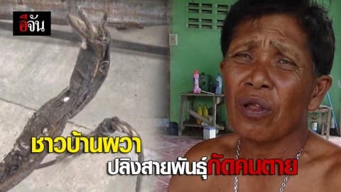 ชาวบ้านผวา ปลิงสายพันธุ์กัดคนตาย