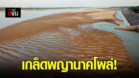 น้ำโขงแห้งขอด เกิดปรากฏการณ์ หาดทรายเกล็ดพญานาค โผล่