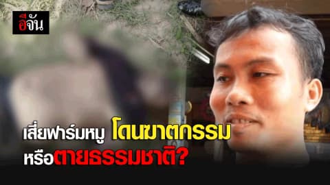 เสี่ยฟาร์มหมู โดนฆาตกรรมหรือตายธรรมชาติ?