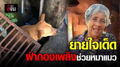 ยายวัย 65 ใจเด็ด! ฝ่ากองเพลิง ช่วยสัตว์เลี้ยง จนตัวเองถูกไฟไหม้ร่างกายอาการสาหัส