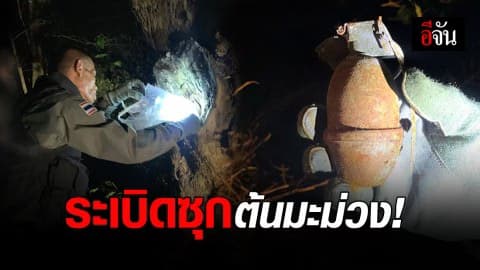 พบระเบิดลูกเกลี้ยง ซุกโพรงต้นมะม่วงกลางสวนลำไย !