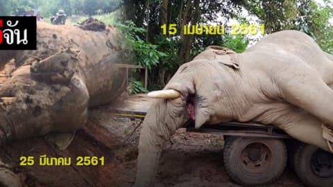 ใครช่างกล้าทำขนาดนี้ ไม่เกรงกลัวต่อกฎหมาย