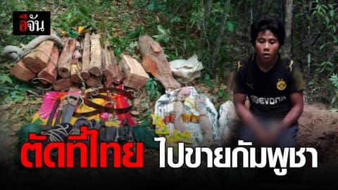 จับเขมร ลอบตัดไม้พะยูงป่าฝั่งไทย ไปขายฝั่งกัมพูชา