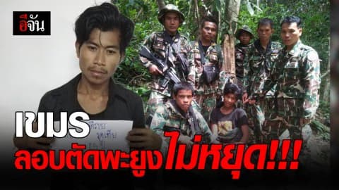 ตัดอีกก็จับอีก! เขมรวัย 25 ปี ลอบตัดพะยูงป่าชายแดนไทย – กัมพูชา