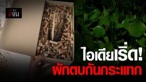 เปลี่ยนสวะในคลอง เป็นกันกระแทก รักษ์โลก ลดขยะ