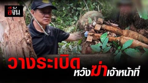 ขบวนตัดไม้พะยูง จ.อุบลราชธานี วางกับระเบิด หวังเอาชีวิต จนท.หน่วย SMART PATROL