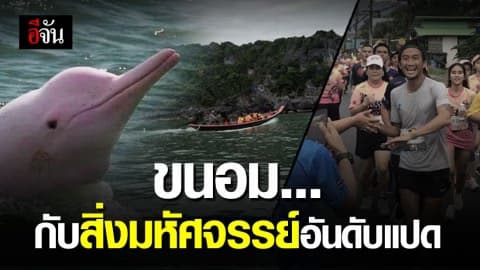 ขนอมกับสิ่งมหัศจรรย์ 7+1