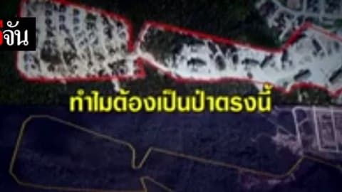 ทำไมต้องเป็นป่าตรงนี้