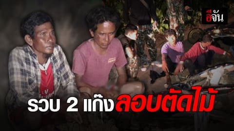 2 วัน จับ 2 แก๊งลอบตัดไม้ อช.ภูจองนายอย-ขปส.ห้วยทับทัน