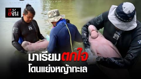 มาเรียมเครียดประจันหน้าพะยูนรุ่นใหญ่